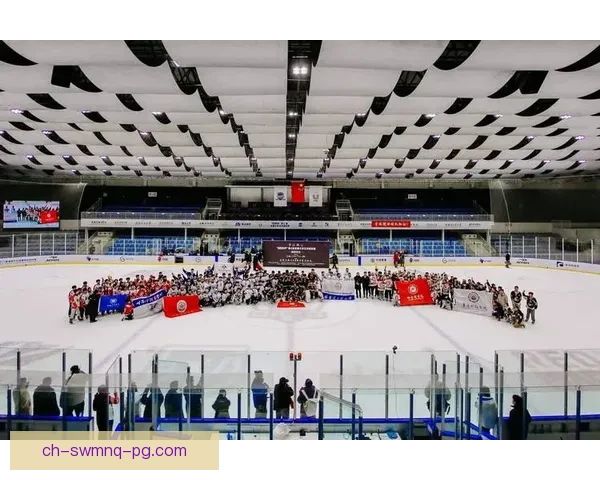 冰球杯赛风云：冰上激战激励灵魂