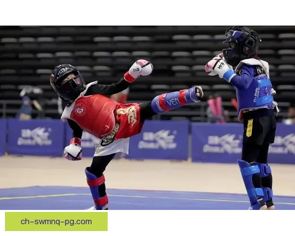 搏击魂：世界拳击联赛的辉煌征程